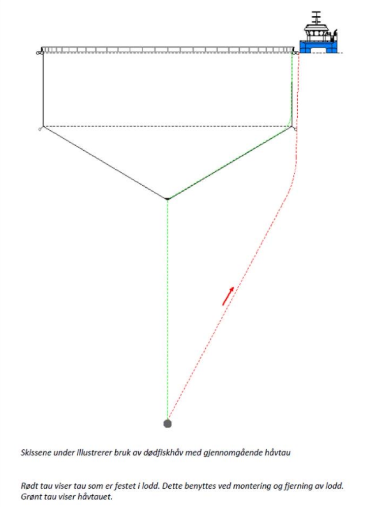 Figur 2: Dødfiskhåv med gjennomgående håvtau. Rødt tau viser tau som er festet i lodd. Dette benyttes ved montering og fjerning av lodd. Grønt tau viser håvtauet.  ( Illustrasjon : Egersund Net)