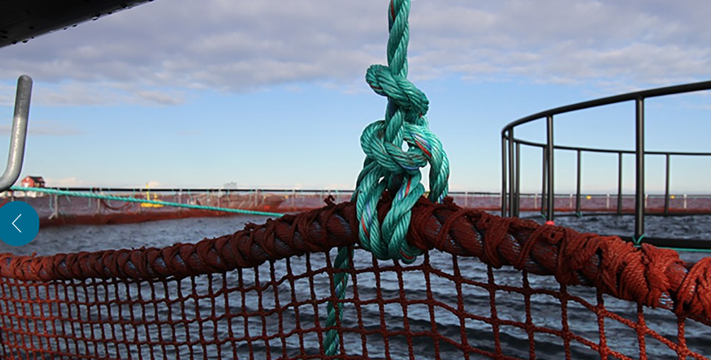 Figur 1. Innfestingstau for bruk mellom topptauet og håndlisten skal sikre at hoppenettet henger i riktig posisjon. Se notens brukerhåndbok. (Foto: © Aqualine) Figur 1. Innfestingstau for bruk mellom topptauet og håndlisten skal sikre at hoppenettet henger i riktig posisjon. Se notens brukerhåndbok. (Foto: © Aqualine)