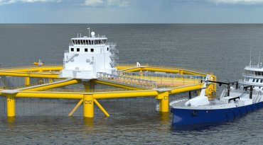 Utviklingstillatelse, havmerd. Illustrasjon: © Salmar