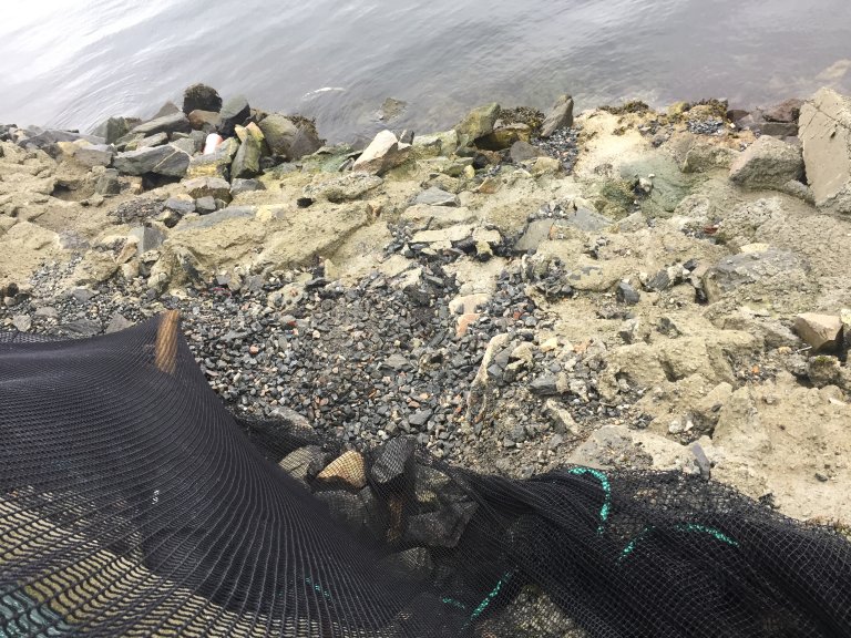 Figur 3: De løse grusmassene fulgte med vann og fisk under områdesikringen og videre ned til sjøkanten. Foto: © Fiskeridirektoratet