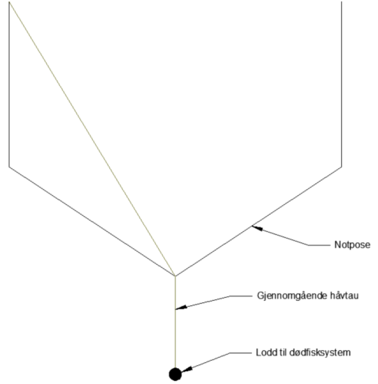 Figur 3: : Prinsippskisse av notpose med gjennomgående håvtau og lodd til dødfisksystem. Skisse: Egersund Net