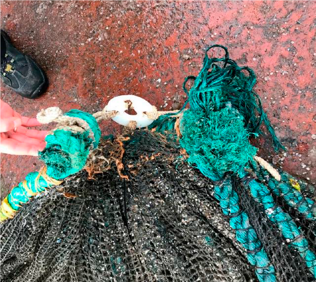 Figur 5: Håvtauet har gnagd på sammenkoblingen av krysstau i bunnen på notposen og notlinet revnet. Foto: © Fiskeridirektoratet