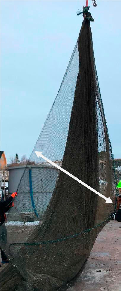 Figur 1: Hullet ble  målt til å være 11,5 meter langt fra spissen og opp. På bildet henger notposen med spissen opp. Foto: © Fiskeridirektoratet