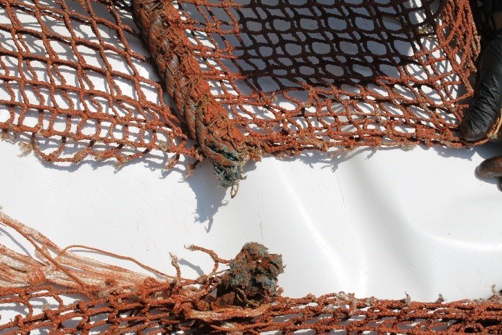 Figur 6: Bruddet i notposens bunntau. Foto: © Fiskeridirektoratet