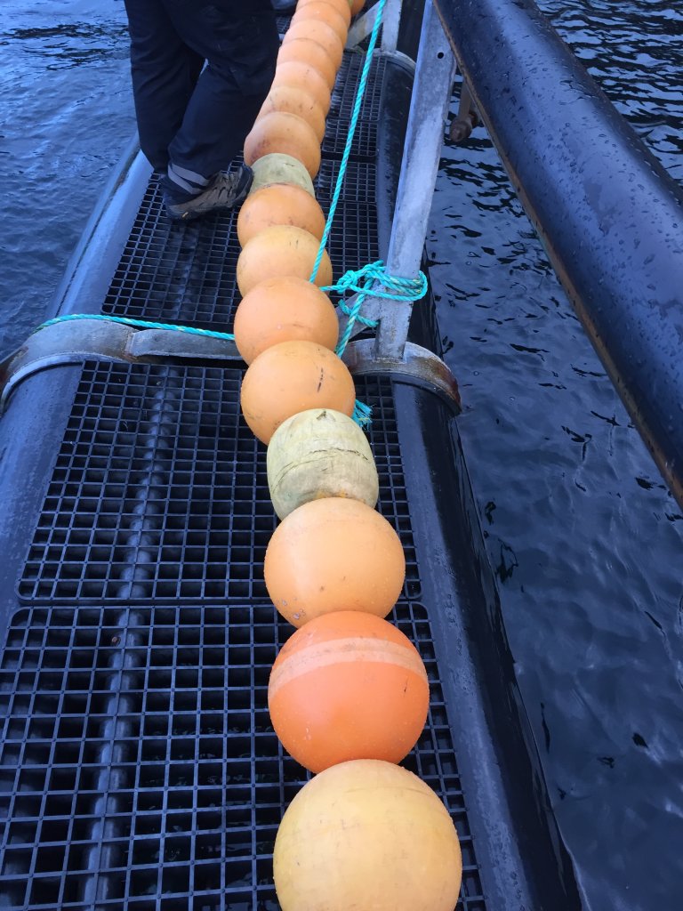 Figur 11: perlebandet besto stort sett av trålkuler med partier med kork. Foto: © Fiskeridirektoratet Figur 11: perlebandet besto stort sett av trålkuler med partier med kork. Foto: © Fiskeridirektoratet