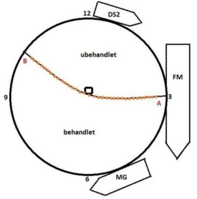 Figur 1: Merden delt inn med perleband i en ubehandlet og behandlet del.