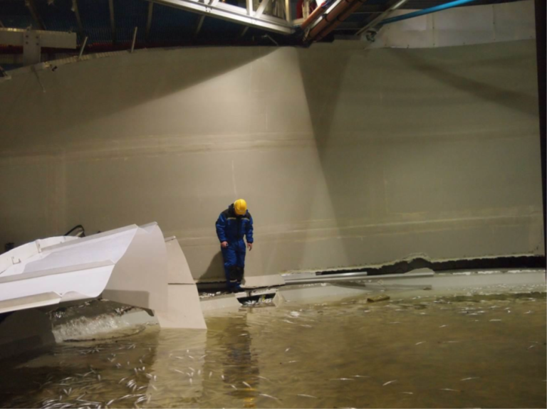 Figur 4: Det er sprekk i karet hele veien rundt slik at loddrett karvegg er skilt fra bunnen, noen få cm. over overgangen til den svakt hellende karbunnen, og på nivå med betonggulvet som omgir karene. Foto: © Rambøll. Figur 4: Det er sprekk i karet hele veien rundt slik at loddrett karvegg er skilt fra bunnen, noen få cm. over overgangen til den svakt hellende karbunnen, og på nivå med betonggulvet som omgir karene. Foto: © Rambøll.