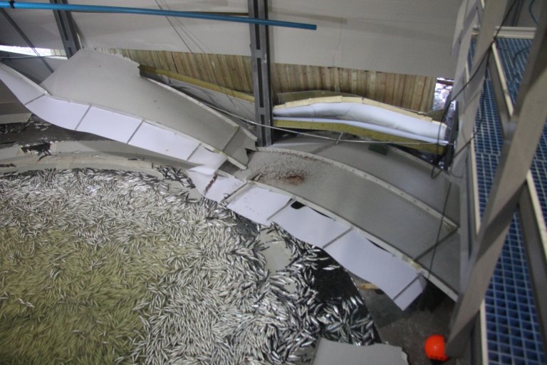 Figur 3: Karveggene er revet opp i segmenter. Flere bæresøyler ble truffet av karveggen. Foto: © Fiskeridirektoratet.