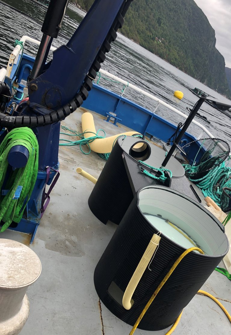 Oppsett for lusetelling om bord i båten. Lusetellebord med oppvåkningskar og slange. Foto: © Virksomheten.