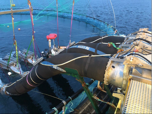 Losseslangene er festet på fartøyet til hver sin linje med hydraulikklås nede og luftstyrt lås oppe. På enden av slangene er det montert silkasser som flyter. Foto: Selskapet Losseslangene er festet på fartøyet til hver sin linje med hydraulikklås nede og luftstyrt lås oppe. På enden av slangene er det montert silkasser som flyter. Foto: Selskapet
