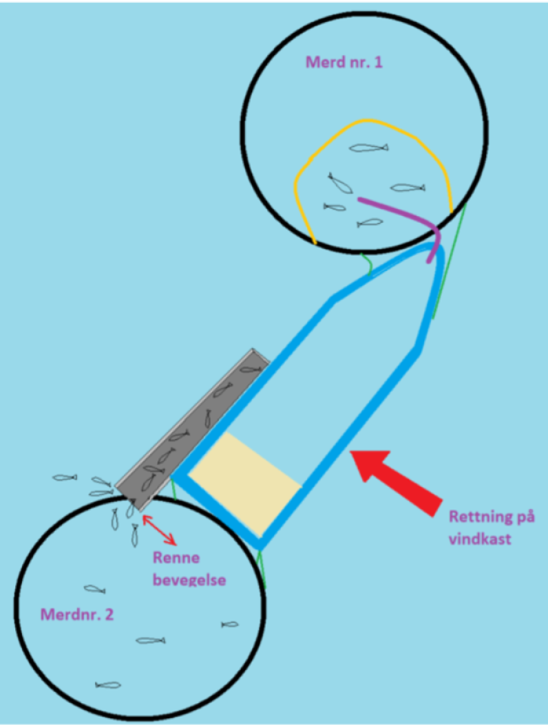Illustrasjonen viser hvordan akterenden på et fartøy blir presset sideveis av kastevinden, slik at renna, som transporterte behandlet fisk til merd , havnet delvis utenfor merden og det rømte fisk. (skisse: Fiskeridirektoratet