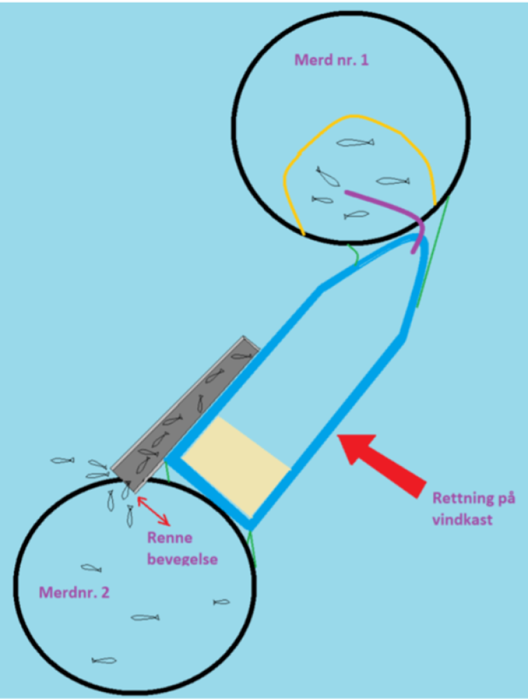 Illustrasjonen viser hvordan akterenden på et fartøy blir presset sideveis av kastevinden, slik at renna, som transporterte behandlet fisk til  merd , havnet delvis utenfor merden og det rømte fisk. (skisse: Fiskeridirektoratet