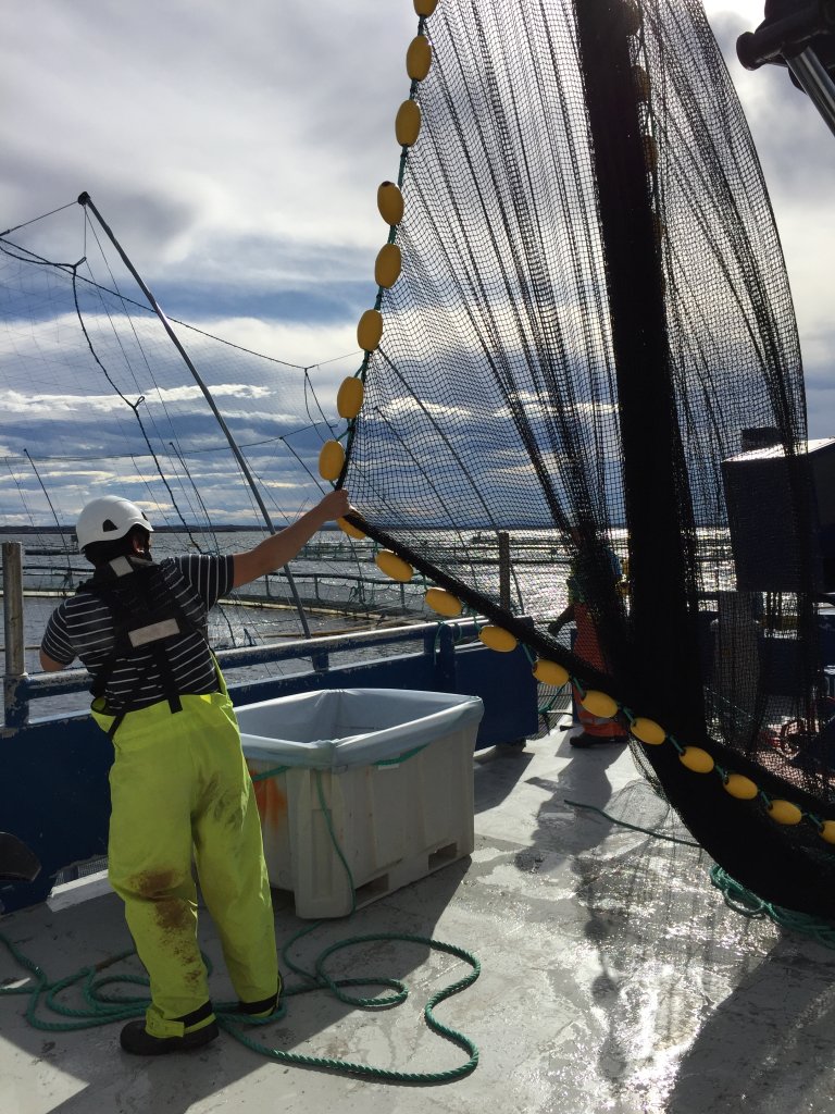 Orkastnot på fartøy som brukes til prøvetaking. Foto: SINTEF Ocean