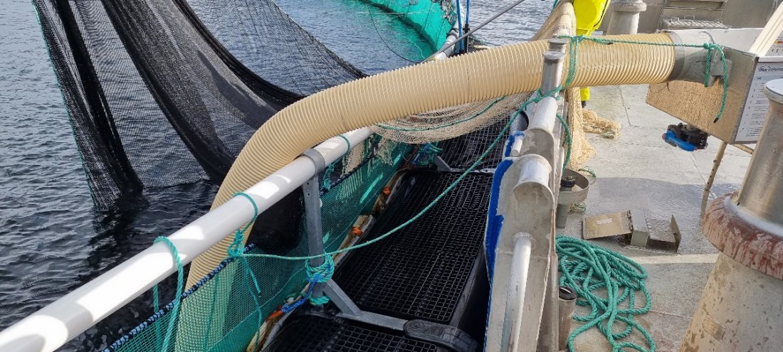 Returslange som som henger over ripa på båt, festet til kar og knyttet med tau Returslange som som henger over ripa på båt, festet til kar og knyttet med tau