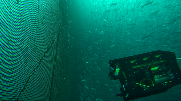 Notinspeksjon med ROV. Foto: SINTEF Ocean.