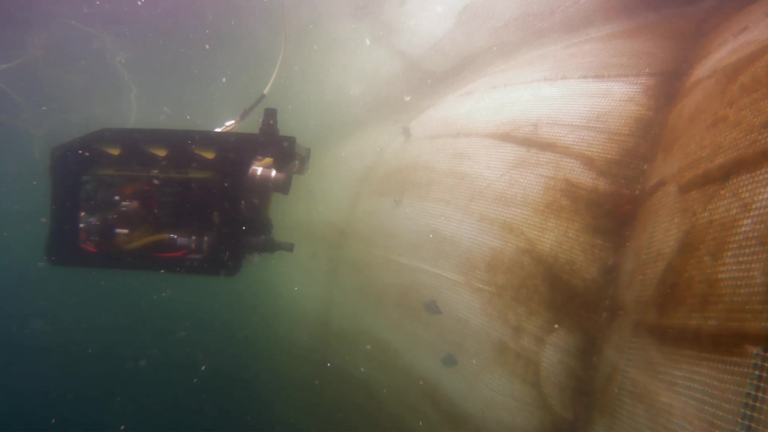 Notinspeksjon med ROV. Ein ROV er ein fjernstyrt undervassfarkost som er utstyrt med eitt eller fleire videokamera og som blir brukt i staden for dykkar ved fleire typar arbeid.