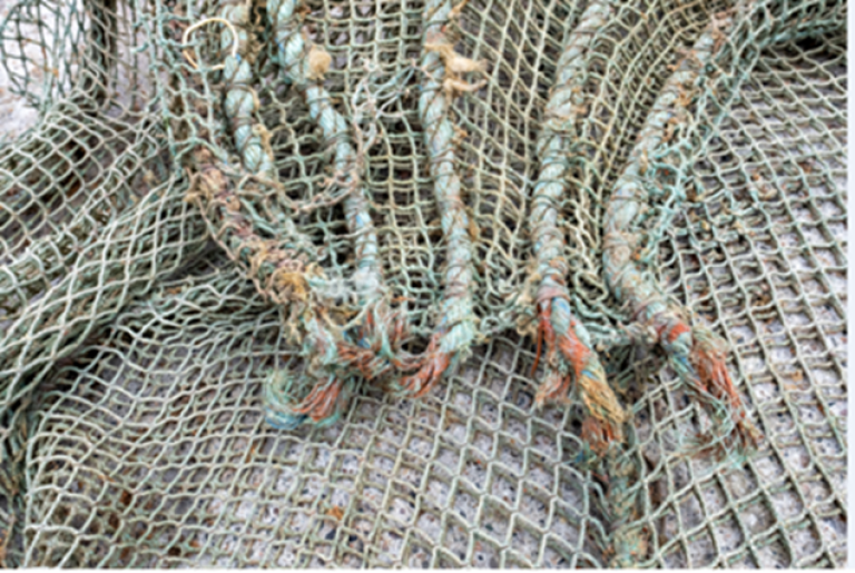 erfaringsbilde-figur 3-stavtauene-på-nota-ble-strekktestet.png