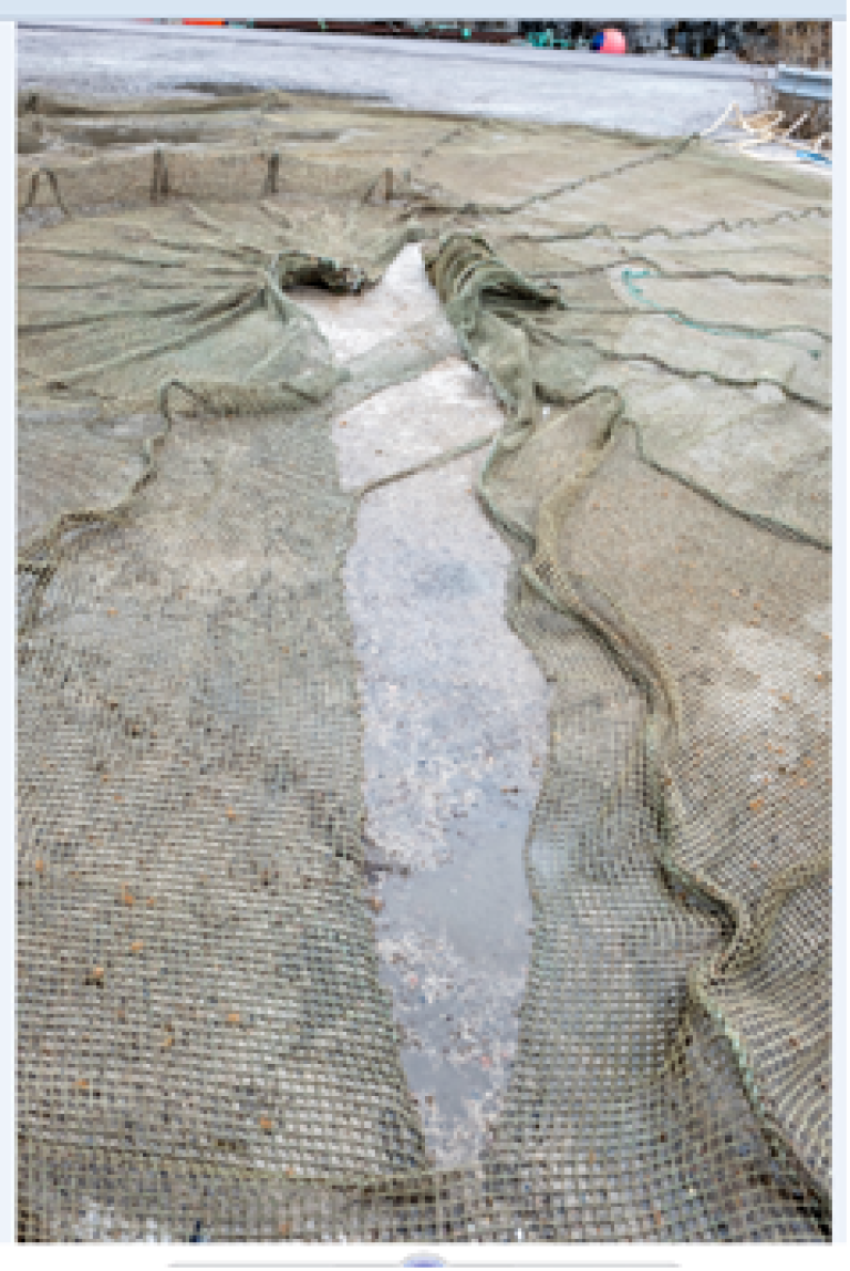 erfaringsbilde-figur 1-hullet-i-noten-hadde-utspring-fra -notens-senterring.png