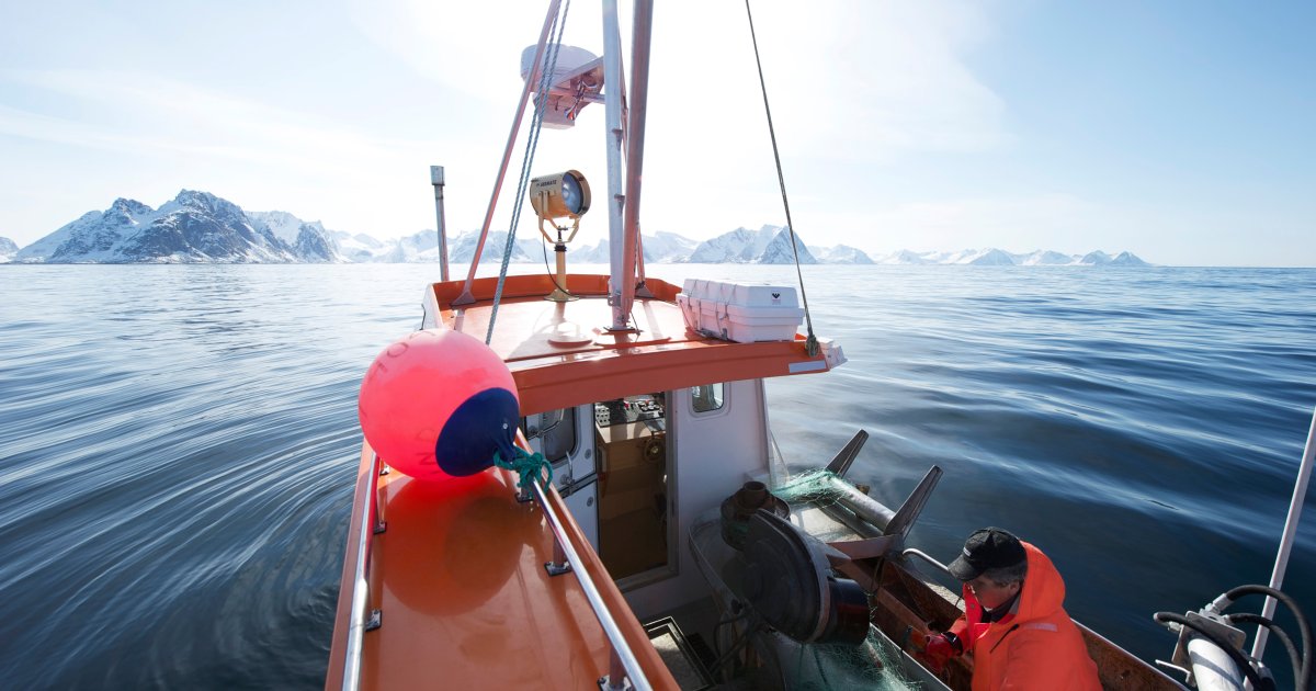 Fritidsfiske med garn i sjøen | Fiskeridirektoratet