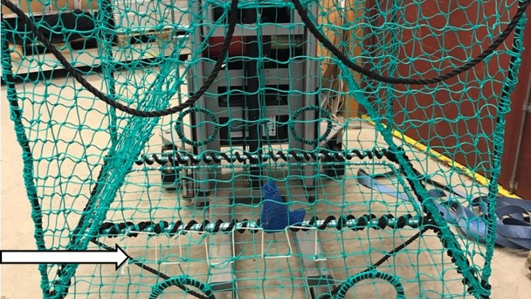 Rømmingshull montert i trekkretning av teinen. Foto: Landmark Skaar / Fiskeridirektoratet Rømmingshull montert i trekkretning av teinen. Foto: Landmark Skaar / Fiskeridirektoratet