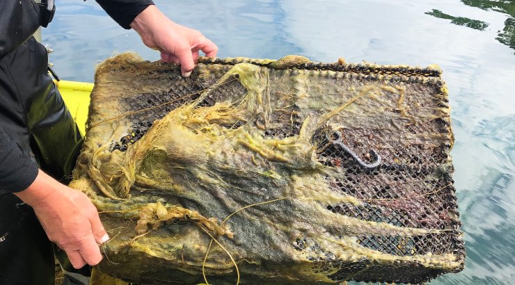 Nedgrodd teine. Foto: © Fiskeridirektoratet