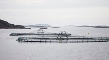 Foto © Erik Røed, Kysten er klar