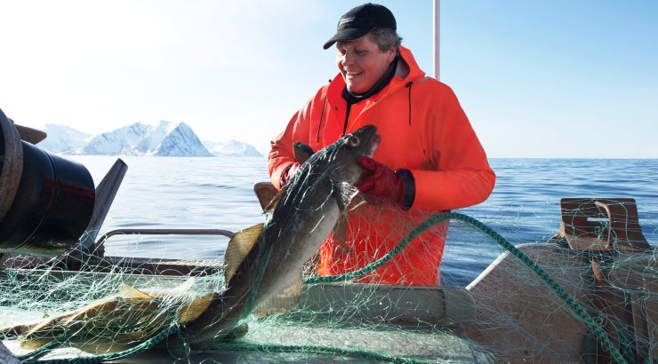 Skreifiske. Foto © Sjømatrådet