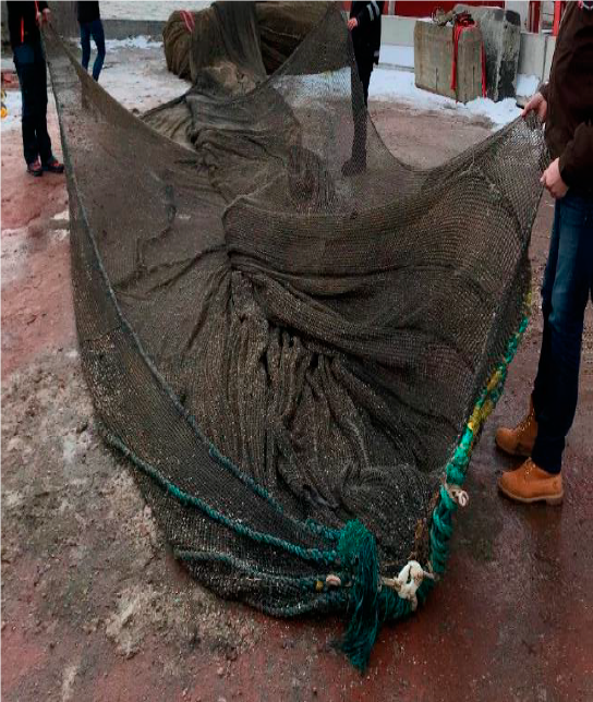 Figur 6: Notposen revnet når  sammenkoblingen for krysstau gikk i brudd. Foto: Fiskeridirektoratet