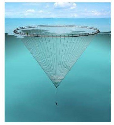 Figur 9: illustrasjon av not som var i bruk. Foto: © Egersund Net