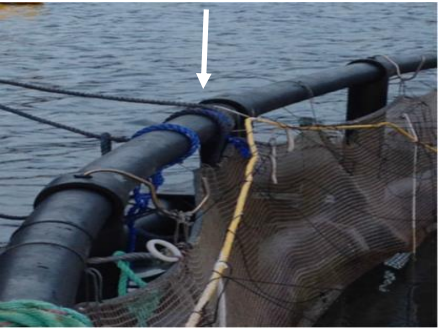 Notkrok som mangler på merden.