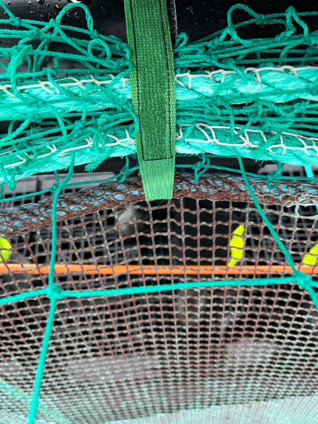 feil bruk av stroppe