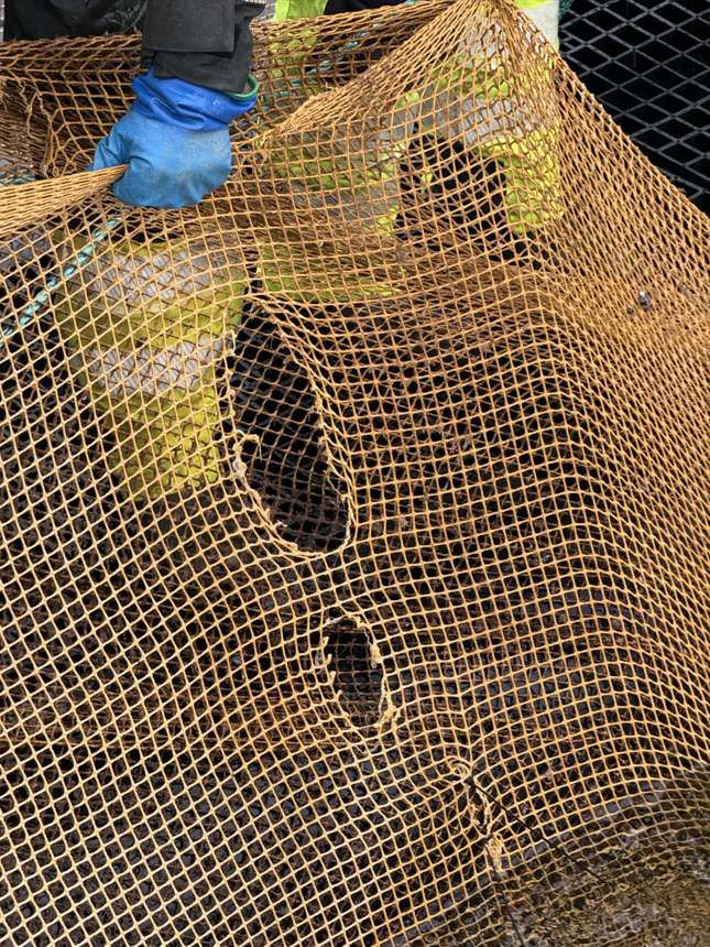 Bilete av notlin med hol i frå propell. 