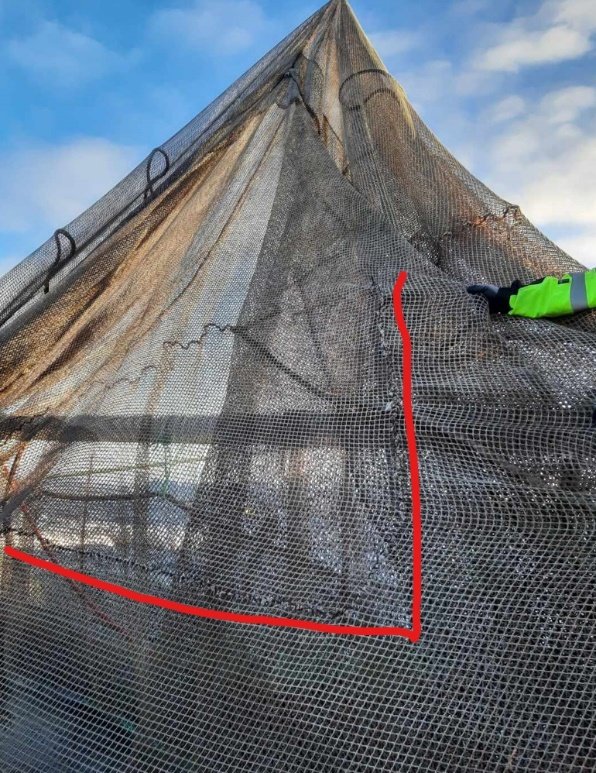 Hullet på notposen har form som en  «L».