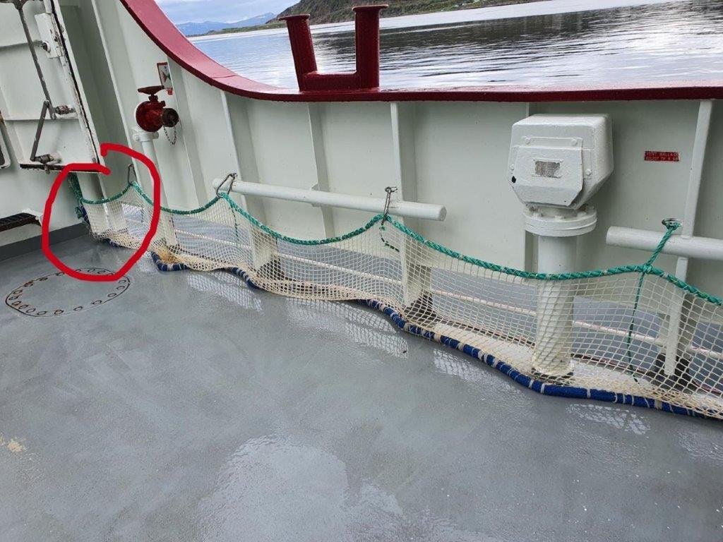 Erfaringsbilde-svikt-i-sikringsnett-rød -ring-hvor-fisk-kom-ut).jpg