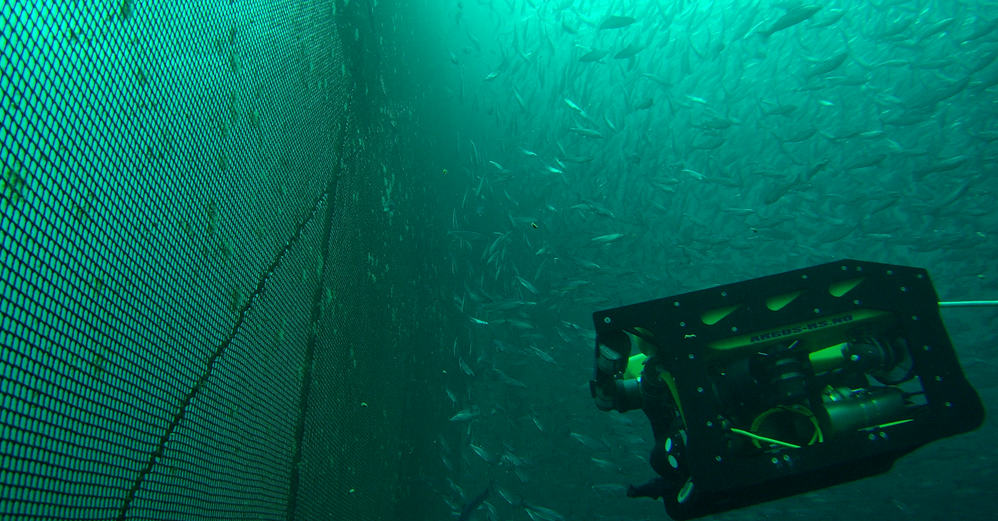 Notinspeksjon med ROV. Foto: SINTEF Ocean.