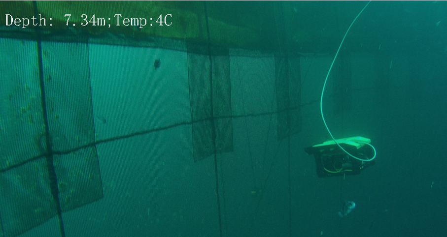 Kontroll av not med ROV