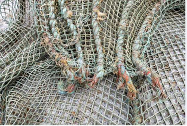 erfaringsbilde-figur 3-stavtauene-på-nota-ble-strekktestet.png