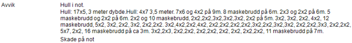 Bilde fra arbeidsrapporten for notinspeksjonen og som viser antall hull