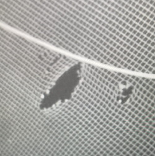 Bilde av det største holet, som var på 15 x 5 masker.