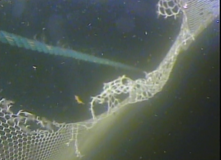 erfaringsbilde-skaden -som-ble-påført-noten 1.PNG