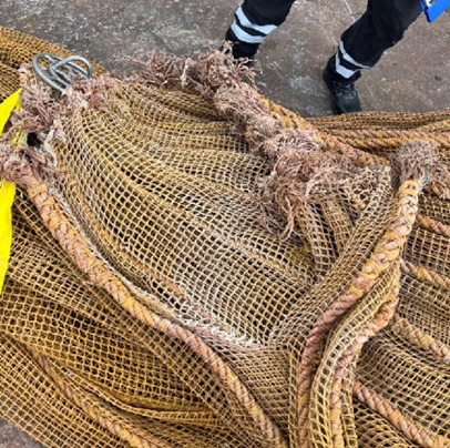 Figur 2. Viser hullet i sin helhet samt krysstau som er slitt av senterringen. Foto: Fiskeridirektoratet