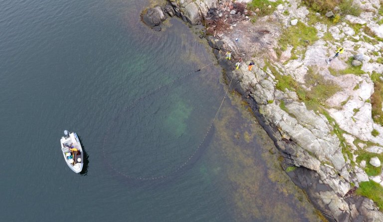Strandnot i bruk. Foto: Espen Bierud / Havforskningsinstituttet