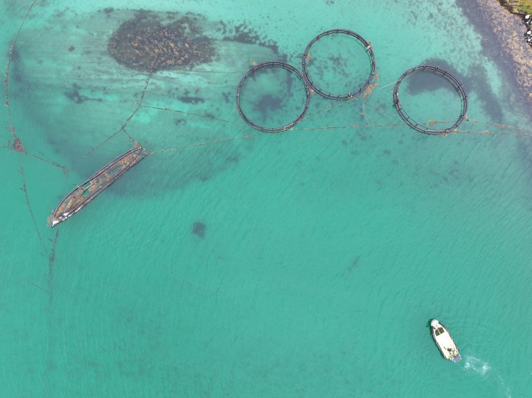 Dronebilde av forlatte oppdrettsmerder sett ovenfra. Foto: Fiskeridirektoratet.