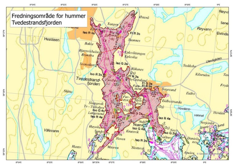 Kart over fredningsområde for hummer i Tvedestrandsfjorden.