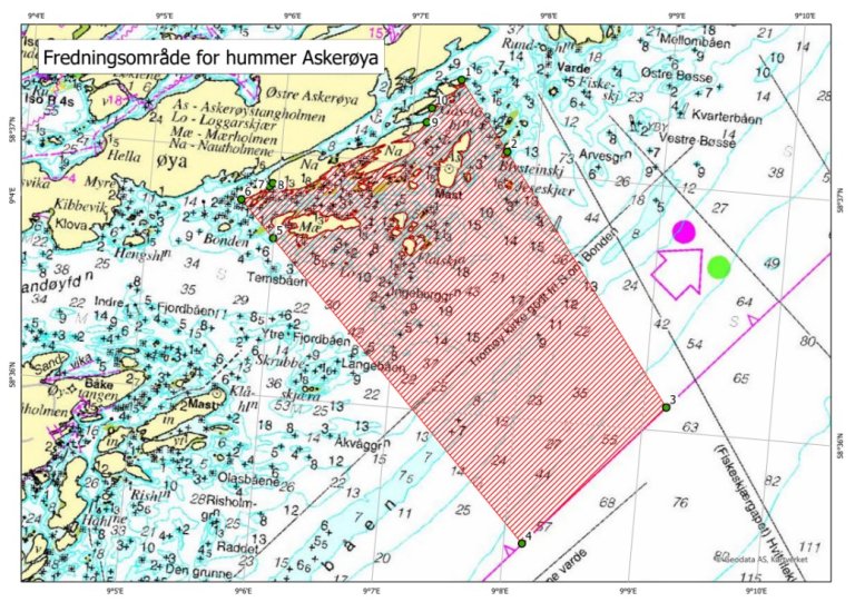 Kart over fredningsområde for hummer ved Askerøya i Tvedestrand
