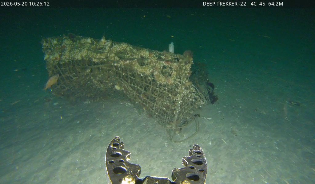 En undervannsrobot navigerer mot en teine på havbunnen for å bistå med teinejakt.