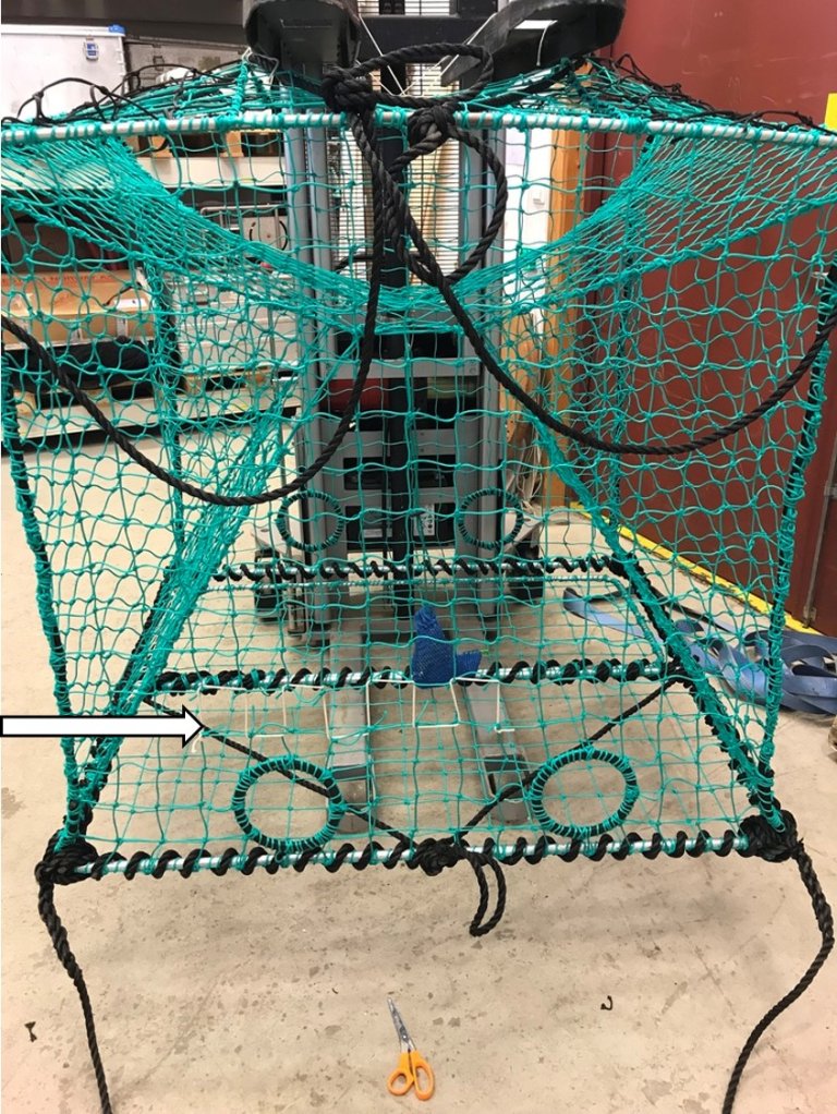 Rømmingshull montert i trekkretninga av teinen. Foto: Landmark Skaar / Fiskeridirektoratet