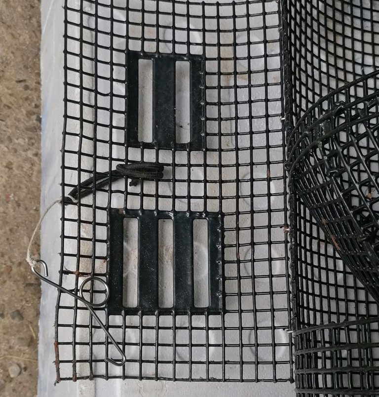 Figur 6: Bomullstråd montert mellom strikk og krok. Foto: Landmark Skaar / Fiskeridirektoratet