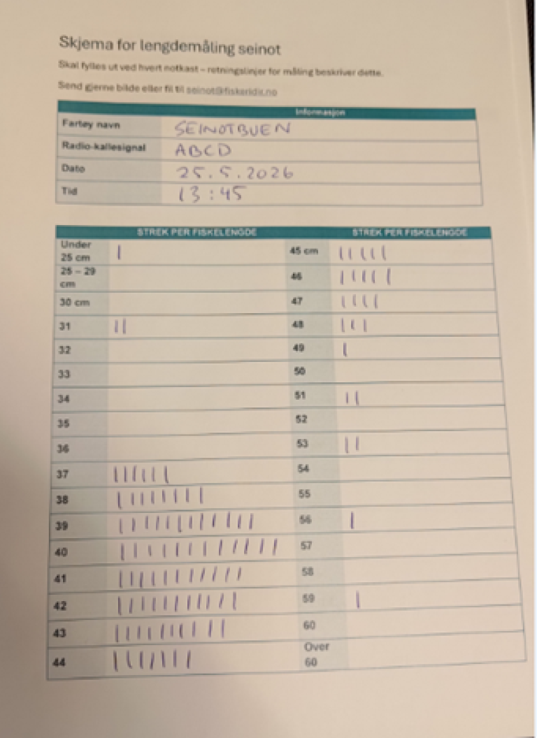 eksempel på utfylt skjema for lengdemåling seinot